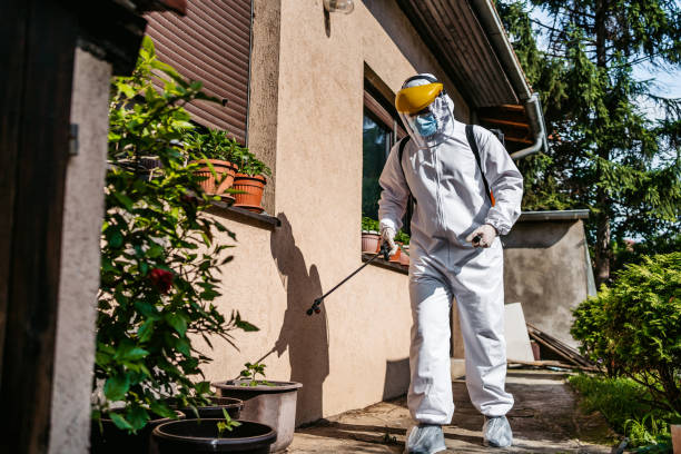 Best Affordable Pest Control Services  in Stony Point, MI