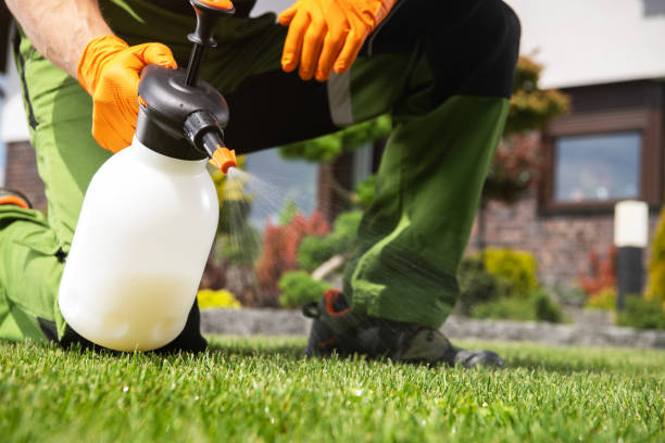 Best Ant Control Services  in Stony Point, MI