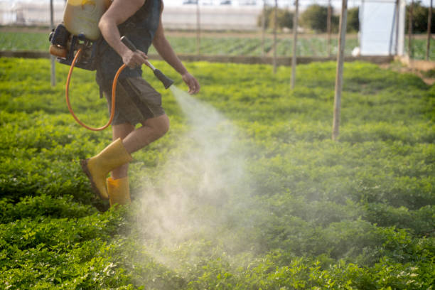 Professional Pest Control in Stony Point, MI