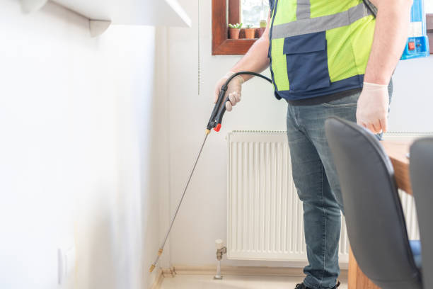 Best Rat Extermination Near Me  in Stony Point, MI
