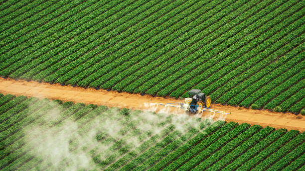Best Pest Control Cost  in Stony Point, MI
