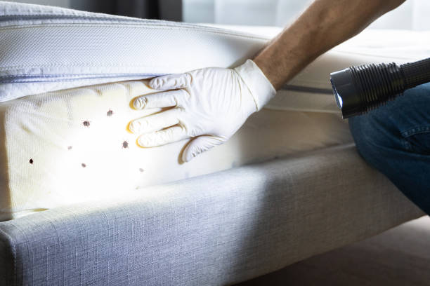 Best Pest Inspection Near Me  in Stony Point, MI