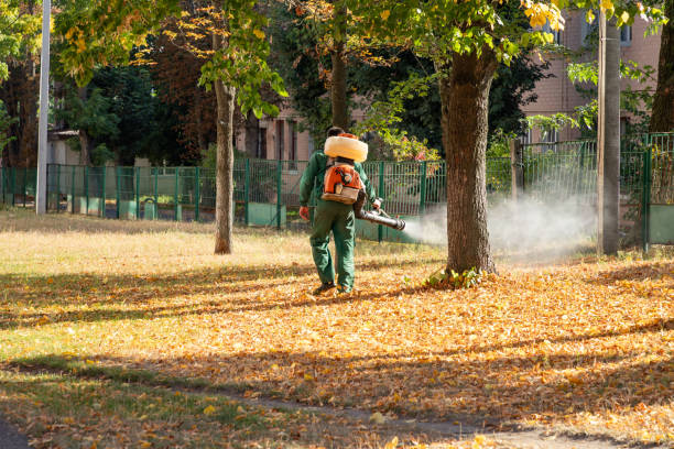 Best Pest Removal Services  in Stony Point, MI