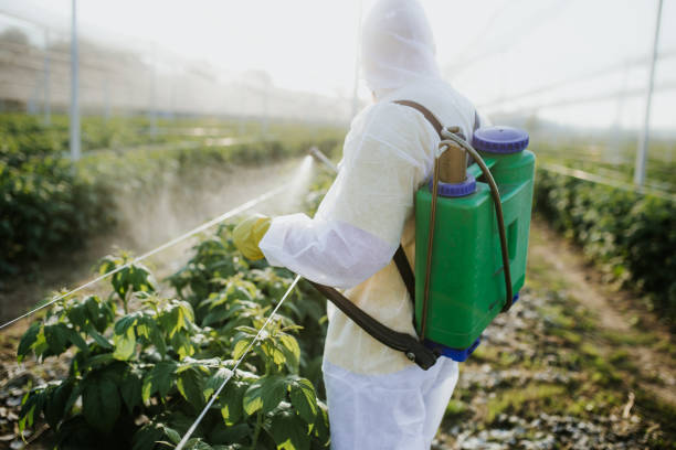 Best Affordable Pest Control Services  in Stony Point, MI